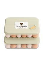 Load image into Gallery viewer, 40kg (Large) Automatic Chicken Feeder