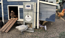 Load image into Gallery viewer, 10kg (Small) Automatic Chicken Feeder- Auto10