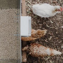 Load image into Gallery viewer, Automatic Chicken Feeder (ACF)
