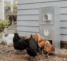 Load image into Gallery viewer, Automatic Chicken Feeder (ACF)
